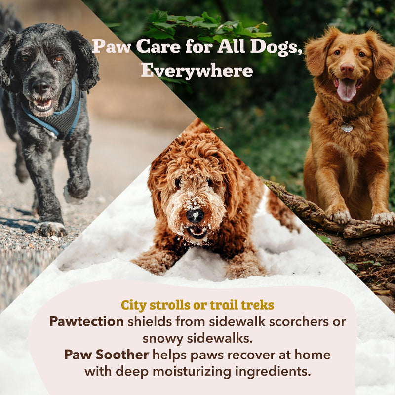 Natural Dog Company Paw Soother Balm & Wax 2 oz Stick – Nourishing Paw Care with Coconut & Hempseed Oils + Calendula – Soothes Dry, Cracked Pads – Lick-Safe & Weather Protective Stick - 2 oz. - PawsPlanet Australia