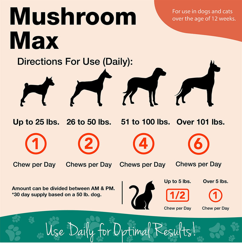 NaturVet Mushroom Max Advanced Immune Support Dog Supplement – Helps Strengthen Immunity, Overall Health for Dogs – Includes Shitake Mushrooms, Reishi, Turkey Tail – 120 Ct. 120 Soft Chews