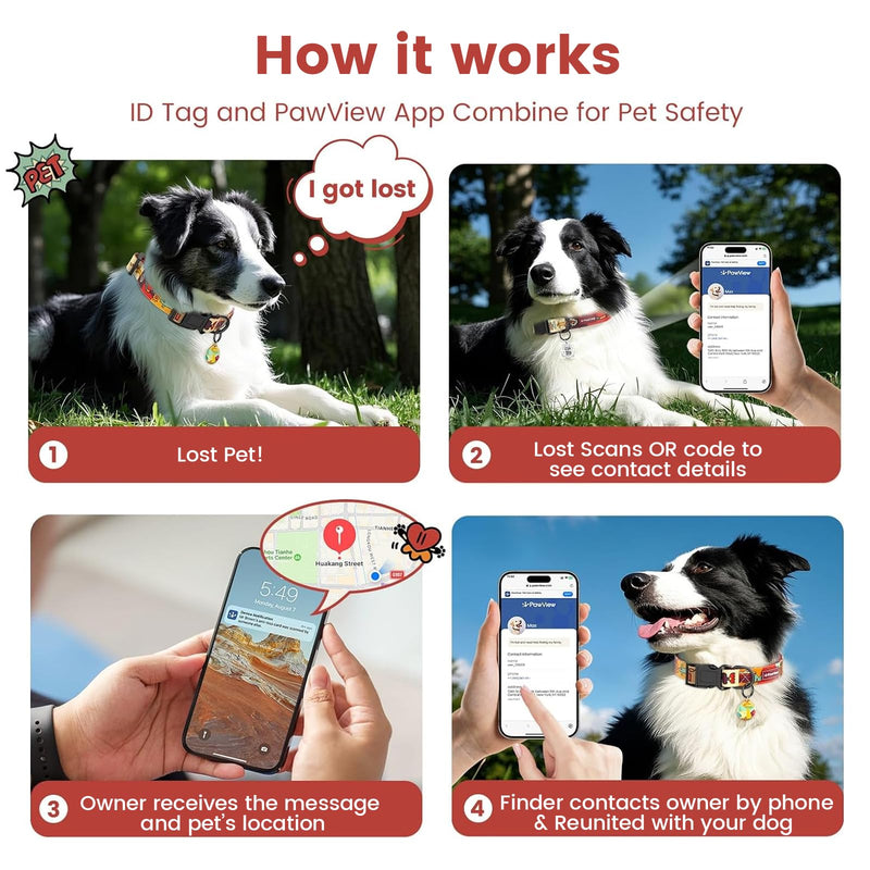 Dog Collar and Leash Set with Smart ID Tag – Adjustable Soft Padded Heavy Duty Comfortable Collar and Leash Set with Cute Pop Art Doodle Design for Small Medium Large Dogs (Red, Small) Sunrise Red S (Neck 11.02-16.93'',Width 0.59'' ) - PawsPlanet Australia