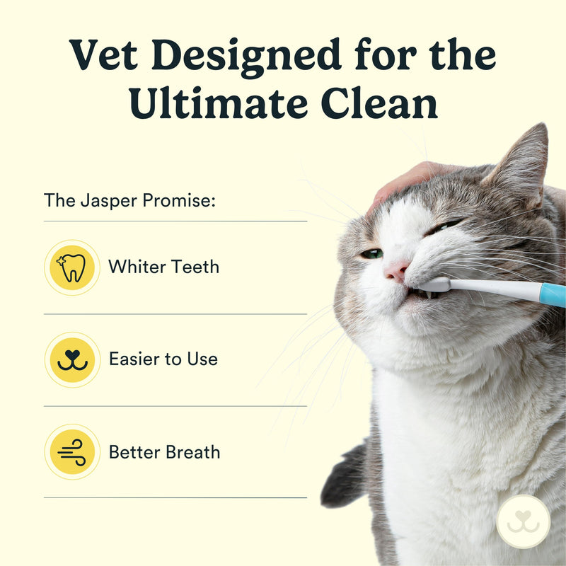 Jasper Microbrush Vet Approved Cat Toothbrush, Soft-Bristled Toothbrush Kit for Felines & Small Dogs, Non-Slip Handle with 2 Replaceable Tooth Brush Heads, Use with Cat Toothpaste Microbrush Kit