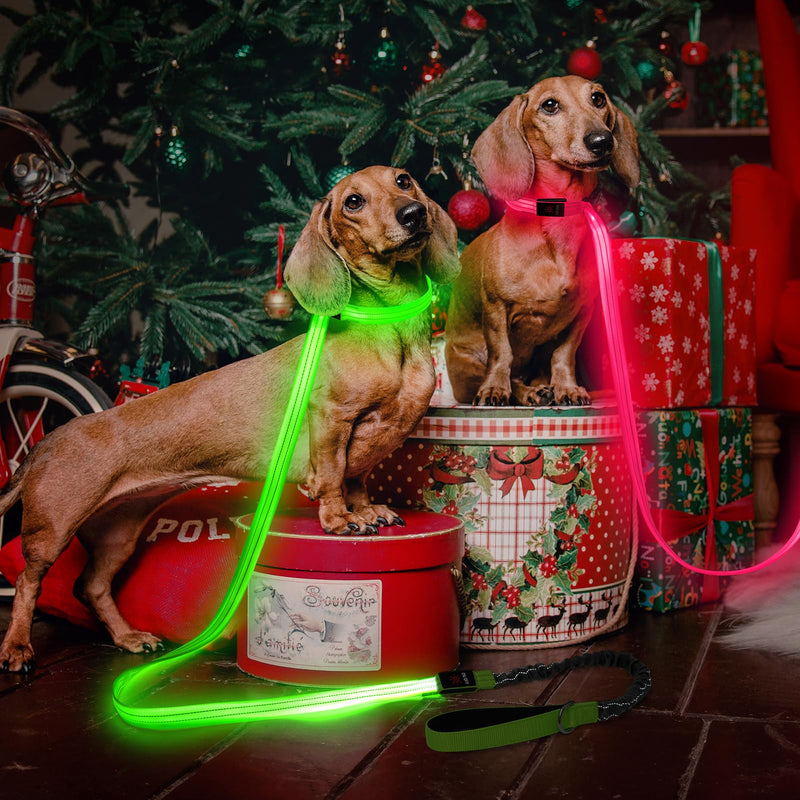 Light up Dog Collar & Lesh Set - Flashing Dog Leash Set Glow in The Dark Dog Collars for Medium Dogs with Elastic Cord 5.4-6.6FT L Vitality Green - PawsPlanet Australia