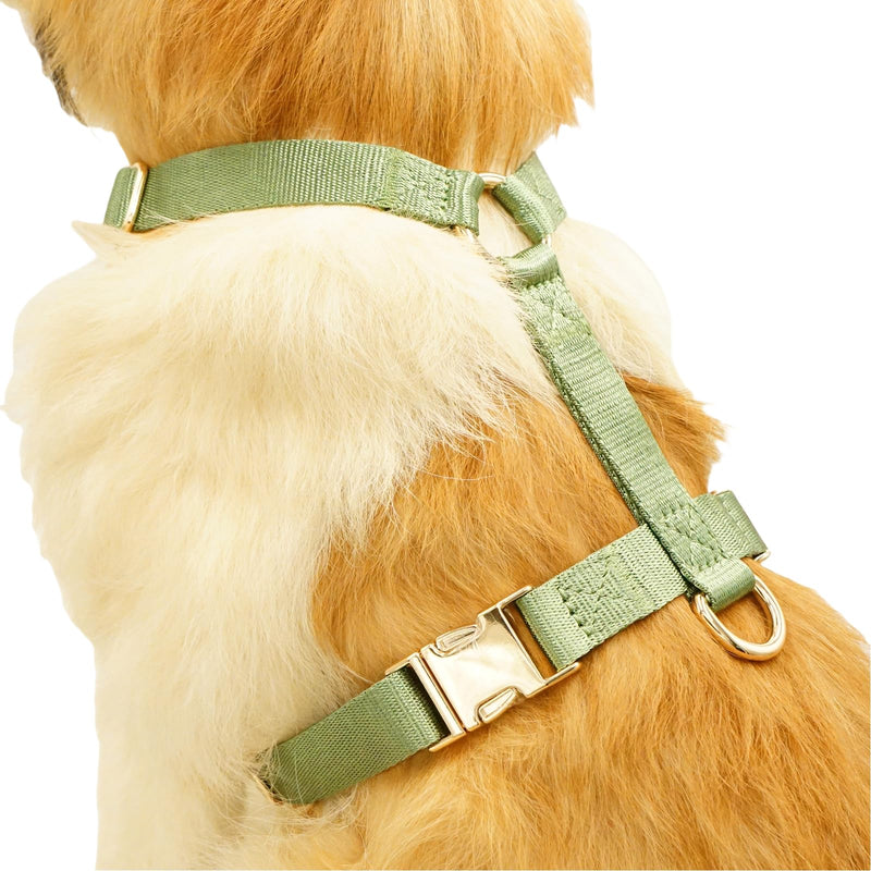 Nylon No Pull Dog Harness with Gold Metal Buckles,Easy Walking and Training Dog Harness (Sage Green, L) Sage green - PawsPlanet Australia