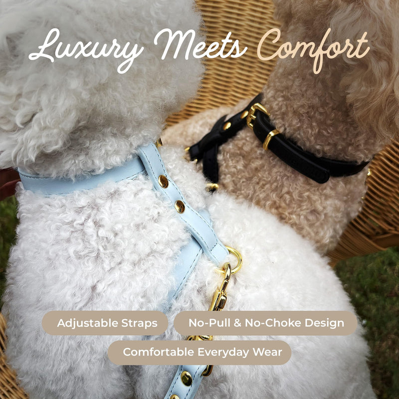 Luxury No Pull Dog Harness and Leash Set, PU Leather Escape-Proof design, Anti-Choke Comfort, Front/Back Attachment, Essential Pet Supplies for Everyday Walks & Training (Harness Leash Set -Black, XL) Harness Leash Set -Black XL-ExtraLarge - PawsPlanet Australia