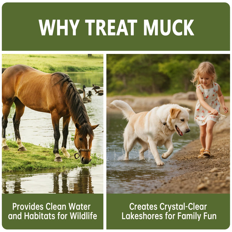Muck Reducer - 1LB Natural Sludge Solution Tablets for Ponds & Lakes, Away Muck & Odor Control, Safe for Aquatic Life, Wildlife & Recreation, Treats Up to 6,000 Sq Ft 1 Pound - PawsPlanet Australia