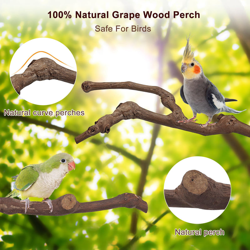 Mogoko 5PCS Bird Perch Natural Wood Grape Stick Stand, 3 Grape Stick Paw Grinding Fork Parakeet Chewing Stick 2 Parrot Stand Branch, Chewing Exercise Branches Bird Cage Accessories - PawsPlanet Australia