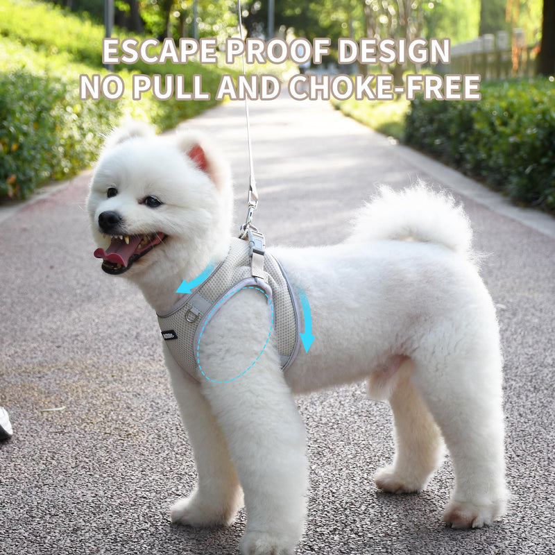AIITLE No Pull Dog Harness and Leash Set, Step in Adjustable Dog Harness with Padded Vest for All Weather, Reflective Pet Harness, Easy to Put on Small Dogs Beige S S(Chest: 13.5 - 16") - PawsPlanet Australia