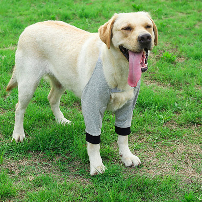 Dog Leg Joint Sleeve, Joint Warming Pet Recovery Sleeve Soft Padded Dog Elbow Protector for Small Medium Large Dogs (XL) - PawsPlanet Australia