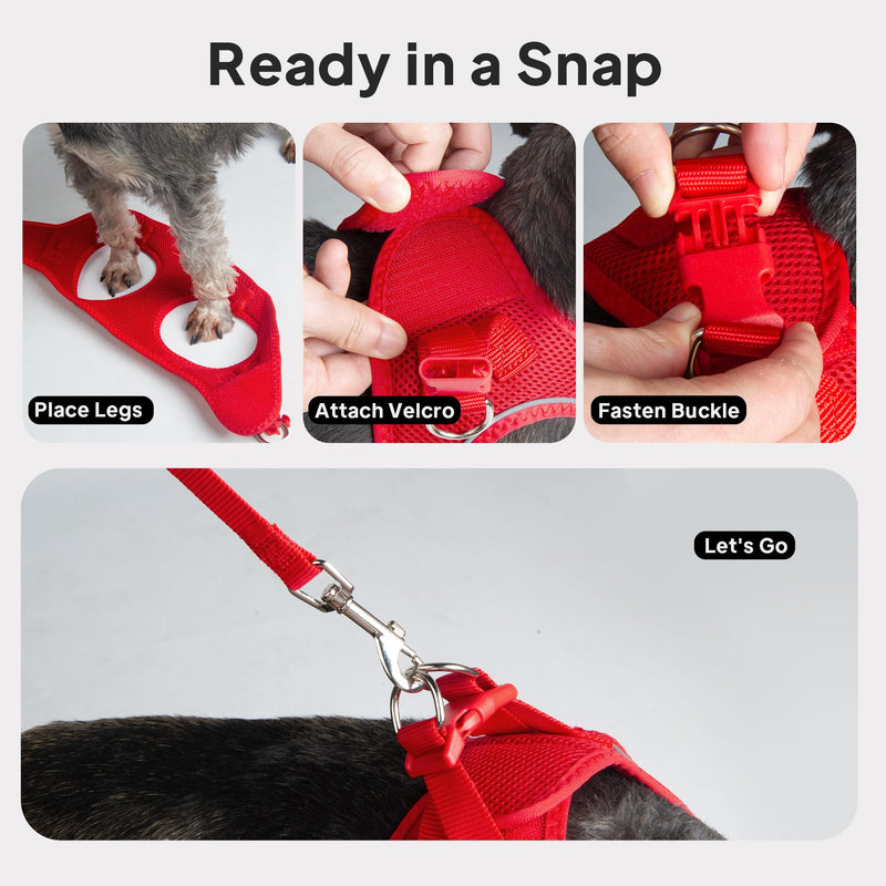 PetiFine Step in Small Dog Harness and Leash Set, Breathable All Weather Air Mesh Reflective Escape Proof, Step-in Vest Harnesses for Puppy(S, Red) S | Neck: 12.6''-13.8'' Chest:16.1''-17.7'' | - PawsPlanet Australia