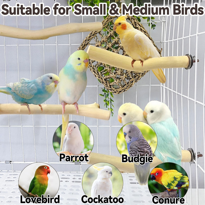 Hamiledyi 4Pcs Natural Wooden Bird Branch Wood Perch Stand Parrot Stand Stick Paw Grinding Cage Accessories for Parrots Parakeets Cockatiels Conures Lovebirds.(8x1in) 4PCS jujube wood - PawsPlanet Australia