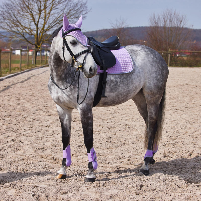 HORZE Adepto Open Front Tendon Boots | Durable Shell with Neoprene Lining - Languid Lavender Purple - Horse - PawsPlanet Australia
