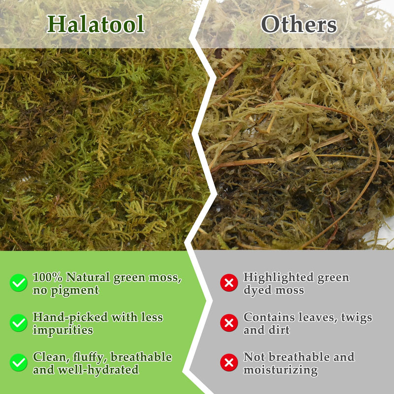 Halatool 1.1LB Natural Sphagnum Moss for Reptiles Green Live Moss for Terrarium Plants Long Fiber Reptile Moss for Leopard Gecko Snake Hamsters Tortoises Frogs Lizards Salamanders