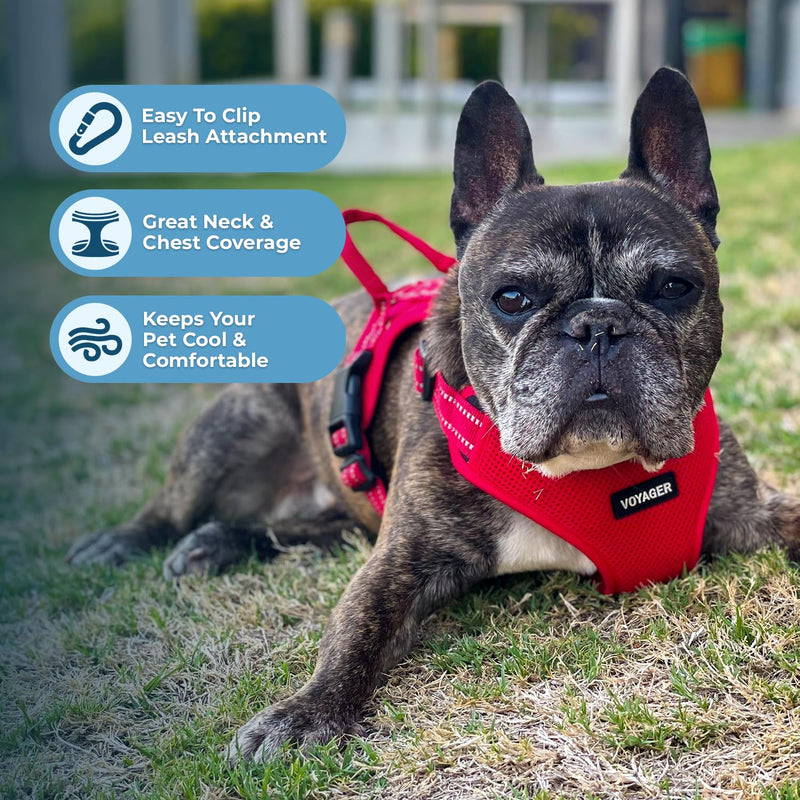Best Pet Supplies Voyager Adjustable Dog Vest Harness Breathable No Pull Harness for Small, Medium, Large Dogs, Heavy Duty Harness for Walking, Jogging, Easy Step-in, Reflective Stripes - (Red), M Harness (Red) M (Chest: 17 - 21") - PawsPlanet Australia