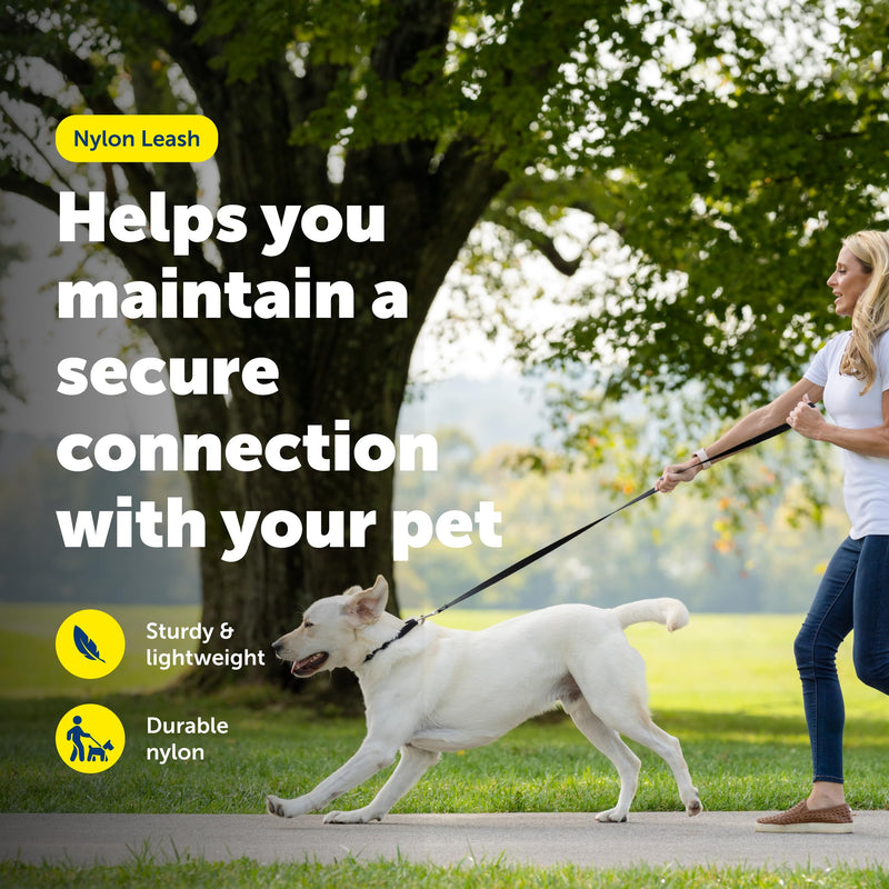 PetSafe Nylon Leash - Chew-Resistant Cat & Dog Behavioral Training Leash - Compatible with Easy-Walk Harness - Traditional-Style Reliable Pet Lead with a Padded Hand Wrap - 1" x 4' - Royal Blue - PawsPlanet Australia