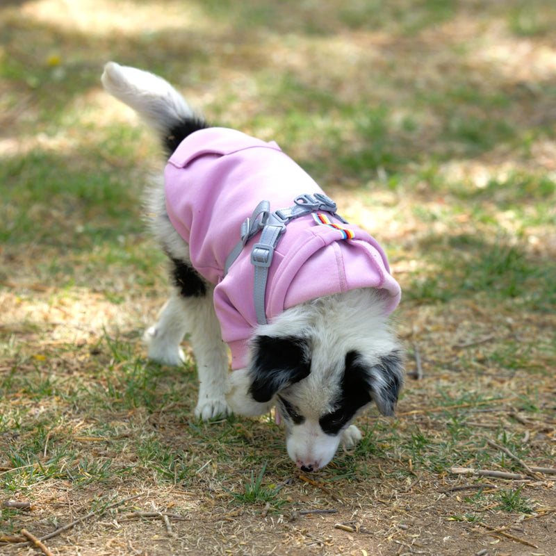 Dog Hoodies with Hurns Built in, Dog Sweatshirt for Small, Medium, and Large Dogs, Warm Sweaters for French Bulldogs, Pitbull, Puppy, Winter Jacket Alternative - Pink - 2XL - PawsPlanet Australia