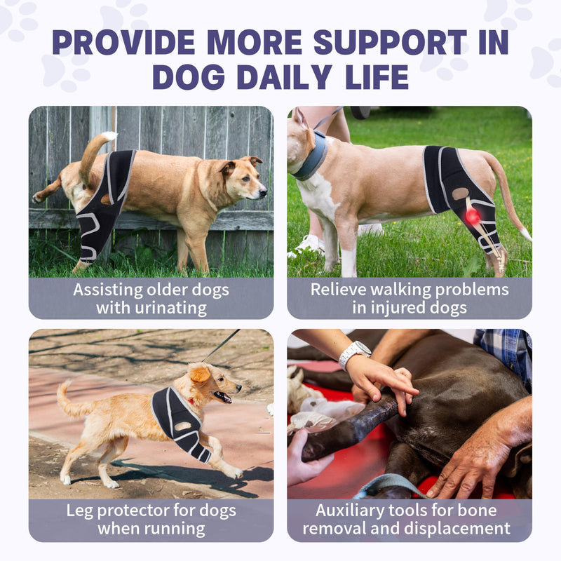 Dog Knee Brace for Torn Acl Hind Leg - Relieves Ligament Injury and Joint Pain, Adjustable Leg Support Bracket for Warmth and Support, Universal Dog Knee Brace for Four Legs,（Size XXL）.