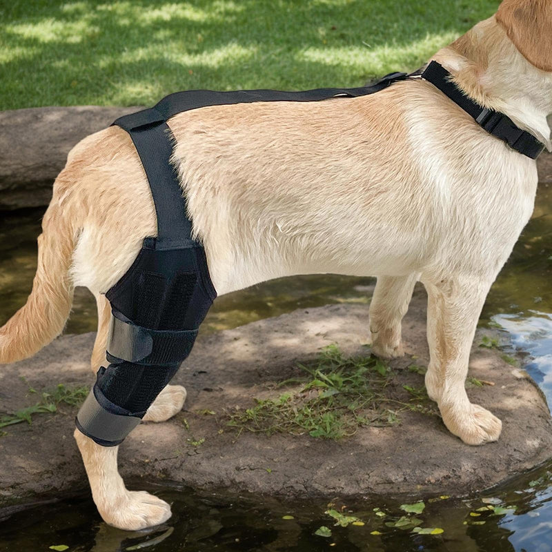 Generic knee brace for dogs | Jumping brace | Rear support | Non-slip knee brace with adjustable strap, soft protection for restoring mobility