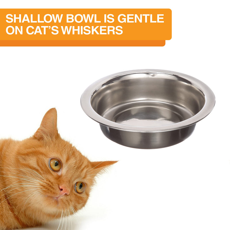 Neater Feeder Express Mess Proof Cat Bowls Elevated, No Spill Feeding Station, Stainless Steel Dishes for Food and Water, Raised Bowls for Indoor Cats, No Fatigue Whisker Friendly Dish, Grey Cat w/ Standard Bowls Gunmetal Grey