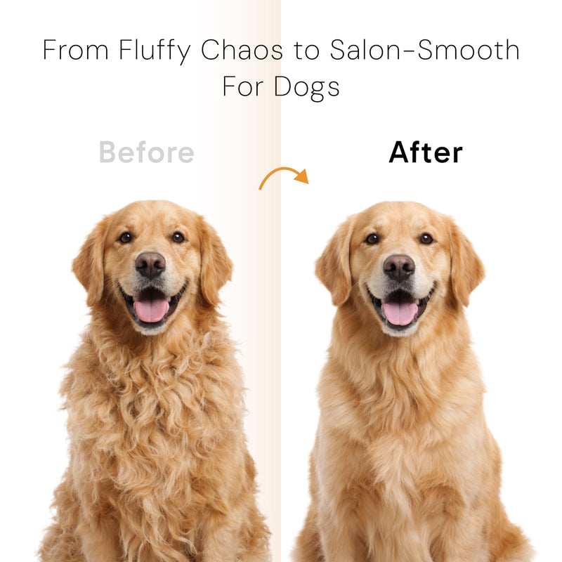 Self Cleaning Slicker Brush for Cats and Dogs | Deshedding Tool for Long and Short Hair | Pet Grooming Brush Reduces Shedding | Cat Comb and Dog Hair Brush (White) Snow White - PawsPlanet Australia