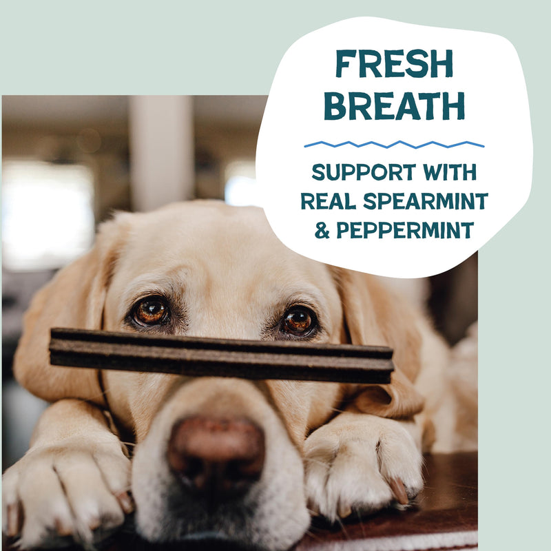 Shameless Pets Dental Chews for Dogs, Variety (4-Pack) - Natural Dog Teeth Cleaning Treats with Fresh Breath Benefits | Grain-Free Dental Sticks for Small, Medium & Large Dogs Variety Pack 7.2 Ounce (Pack of 4) - PawsPlanet Australia