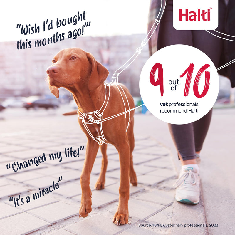 Halti No Pull Harness - Stop Your Dog Pulling on the Leash. Adjustable, Lightweight and Easy to Use. Reflective Dog Training Harness for Large Dogs (Size L, Black) - PawsPlanet Australia
