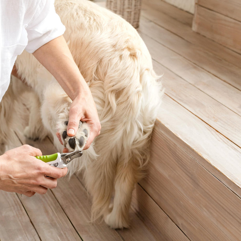 Dog Nail Clippers with Safety Guard - Pet Nail Clippers for Medium and Small Breed - Protective Nail Cutter, Safe Claw Trimmer, Ergonomic Toenail Scissors - Ebook Guide Large - PawsPlanet Australia
