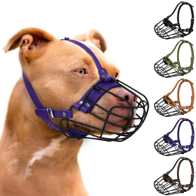 Pitbull Dog Muzzle Breathable Metal Basket for Large Dogs Amstaff Staffordshire Terrier Secure Wire Mask Adjustable Durable Leather Straps Biting Chewing Barking (Purple) Purple - PawsPlanet Australia