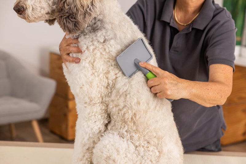 Wahl 2999-7075 Large Slicker Brush Green - PawsPlanet Australia