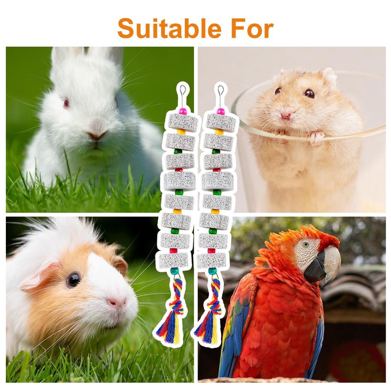 2 Pack Chicken Toys for Coop - Chicken Pecking Toy with Calcium Volcanic Stone, Chickens Enrichment Toys with Bells, Chickens Coop Accessory for Birds, Parrot, Rodents & Small Pets - PawsPlanet Australia