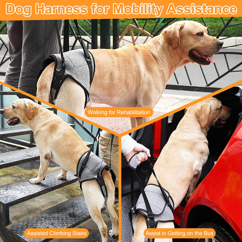 Dog Lifting Harness, Dog Support Harness for Back Legs, Adjustable Dog Leg Support with Lift Handle, Portable Dog Slings for Medium Dogs, Elderly Disabled Joint Injuries Canine(L) L