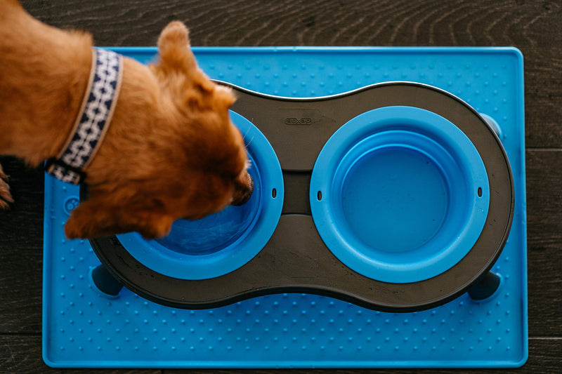 Dexas Double Elevated Feeder Small Pro Blue Small/1 Cup Capacity Bowls - PawsPlanet Australia