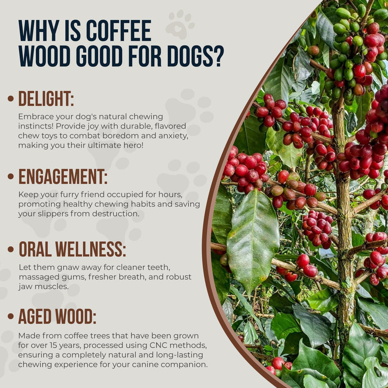 Coffee Wood Dog Chew Sticks 6.5" & Dog Rope Toys for Puppy - 100% Natural Puppy Chew Toys for Teething, Organic Wood Stick Helps with Stress Relief Extra Small - PawsPlanet Australia