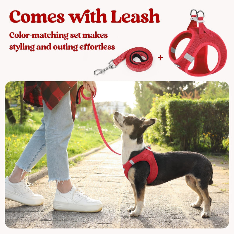 rabbitgoo Dog Harness Small Sized and Leash Set, Step in Soft Light Puppy Vest, Breathable Mesh Pet Harness, Reflective for Safe Easy Walking, Red M M (Chest: 16 - 18.5") - PawsPlanet Australia