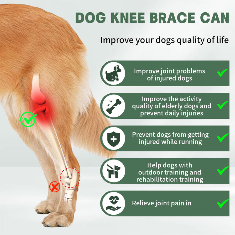 Dog Knee Brace for Torn ACL with Side Stabilizers Provides Stable Support and Pain Relief for Hind Leg,L. Size L