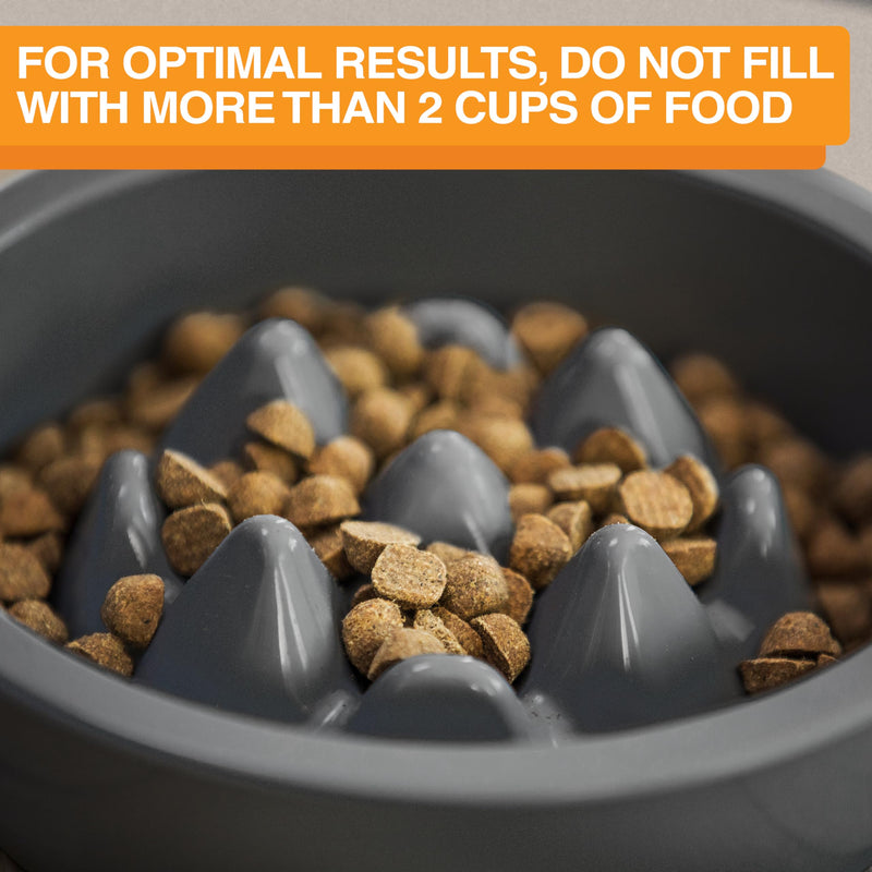 The Niner Slow Feed Bowl - Raised Peaks Slow Down Pets Eating - Fits Elevated Feeders Including Neater Feeder Large Sizes - Gentle on Teeth and Gums - Holds up to 2 Cups (Gunmetal Grey) Gunmetal Grey - PawsPlanet Australia