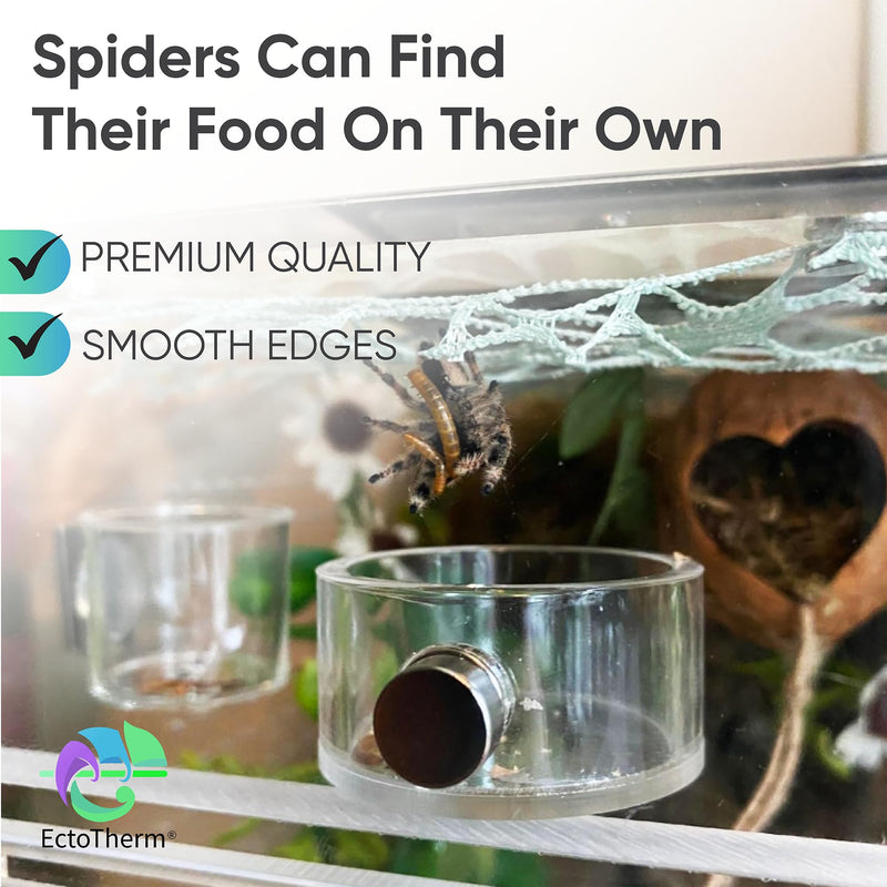 EctoTherm Jumping Spider Feeding Dish and Food Dish - Terrarium Decor, Magnetic Feeding Ledge - Essential Accessories for Pet Jumpers - PawsPlanet Australia