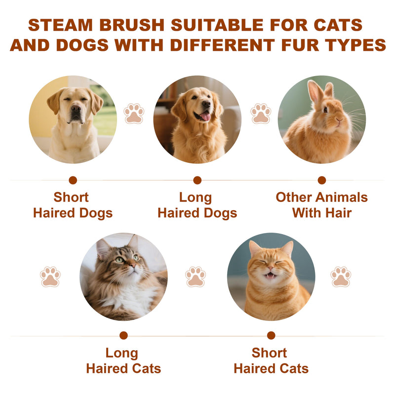 Cat Steam Brush, Dog Brush for Shedding, Pet Spray Hair Removal Comb, Pet Brush for Short & Long Hair, USB Rechargeable Grooming Supplies, Spritz Defur Comb with Finger Wipe for Teeth (White) Pet Brush+Shampoo+Wipes - PawsPlanet Australia