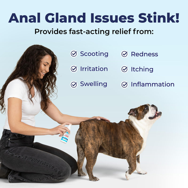 Vetnique Labs Glandex Medicated Dog Anal Gland Spray - Pain Relieving & Anti-Itch Formula to Soothe Inflamed Anal Glands in Dogs & Cats - Fast Acting Clinical Formula - Boot The Scoot (4oz) - PawsPlanet Australia