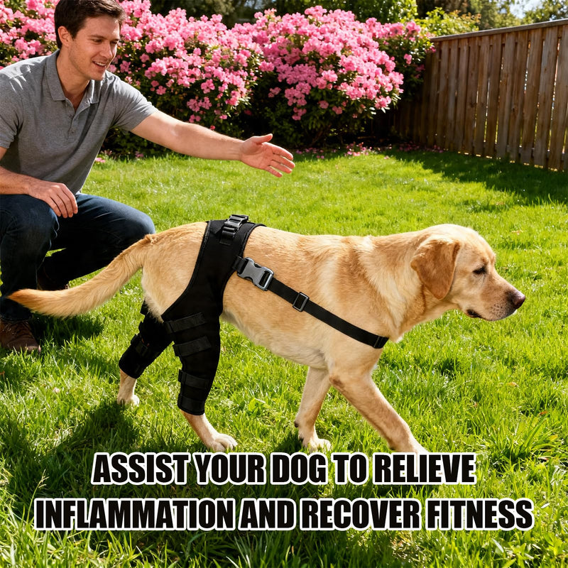 Dog Leg Brace for Back Leg Knee Support Targets Torn A CL Cruciate Ligament Issues Osteoarthritis Luxating Patella Adjustable Pet Knee Brace for Dogs (HJ25 rear double leggings black L) HJ25 rear double leggings black L