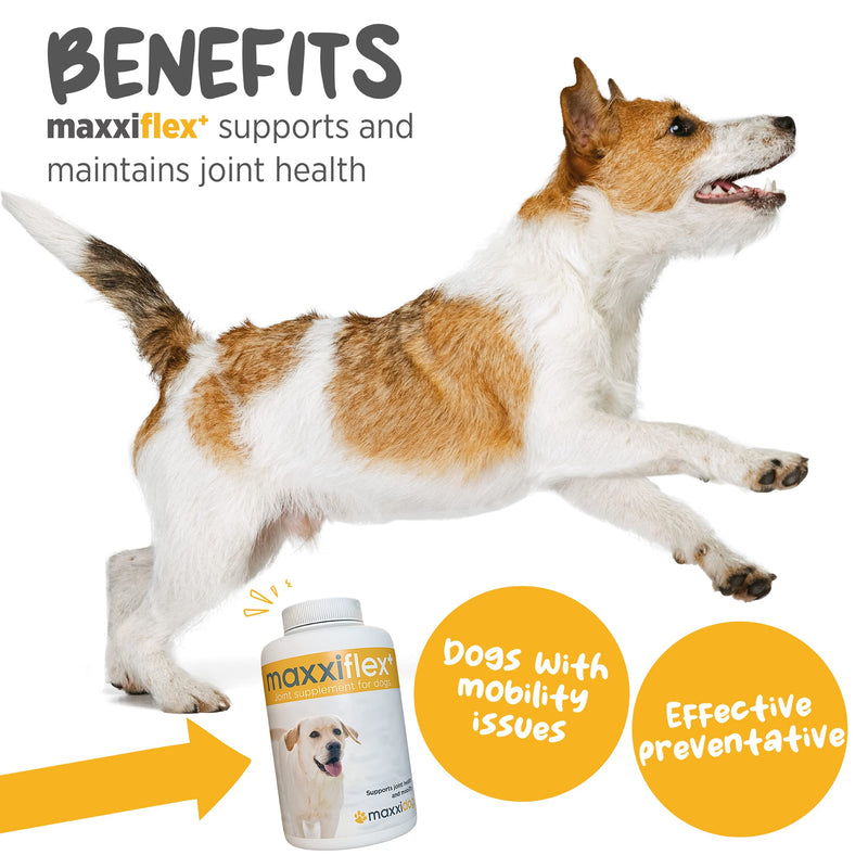 maxxipaws - maxxiflex+ Hip & Joint Supplement for Dogs with Glucosamine, Chondroitin, MSM & Collagen | Mobility, Flexibility & Discomfort Support | Senior, Adult & All Breeds | 120 Tablets 120 Count (Pack of 1) - PawsPlanet Australia