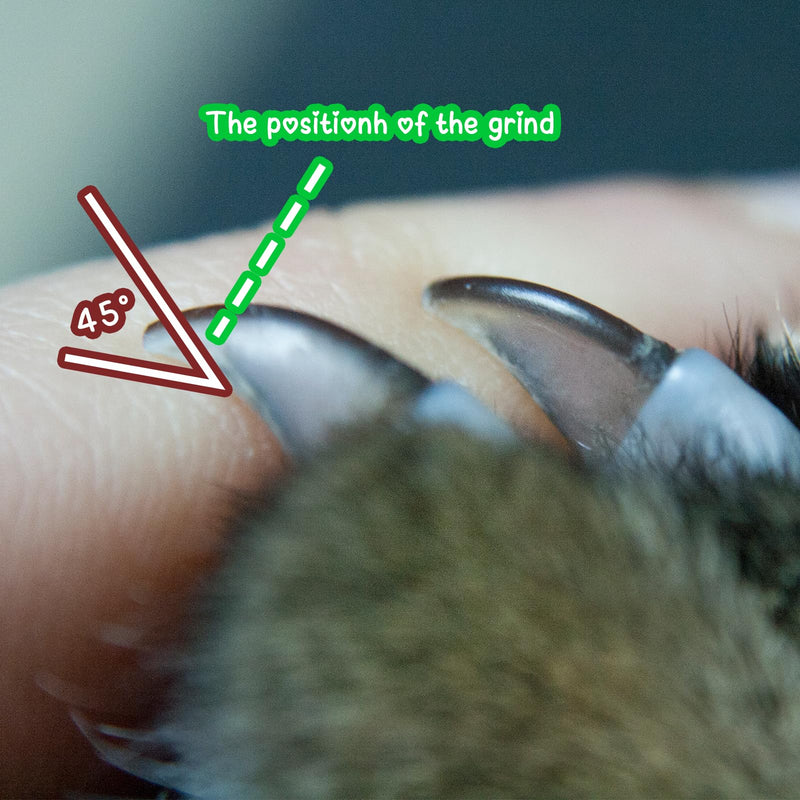 Nail Grinder for Dogs Replacement Kit, 42 Pack Pet Nail Grinder with Sanding Drum Bands Pet Smoother Claw Care Dog Nails Trimmer Tools (1/2 Inch, 80#/120#) - PawsPlanet Australia