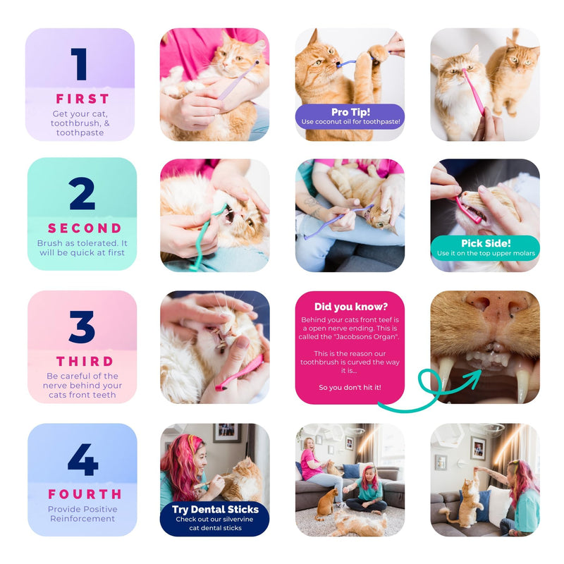 RYERCAT Dual Sided Cat Toothbrush - Kitten Toothbrush with Micro Head to fit into Cat/Kittens Mouth - Cat Dental Care Supplies - Pet Toothbrush for Cats (Smudgelord) - PawsPlanet Australia