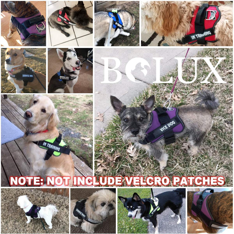 Bolux Dog Harness, No-Pull Reflective Dog Vest, Breathable Adjustable Pet Harness with Handle for Outdoor Walking - No More Pulling, Tugging or Choking (Blue, S) Small (Pack of 1) Blue