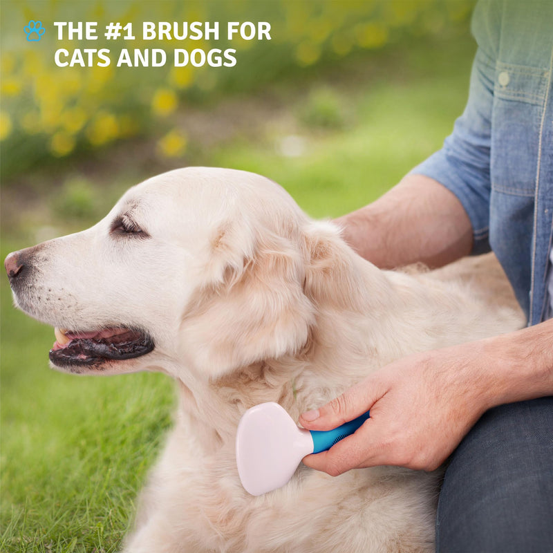 Poodle Pet Slicker Brush - For Dogs, Cats, and Rabbits - Removes Matted Fur, Knots, and Loose Hair - Suitable for Grooming Doodles and Goldendoodles with Short or Long Hair Blue - PawsPlanet Australia