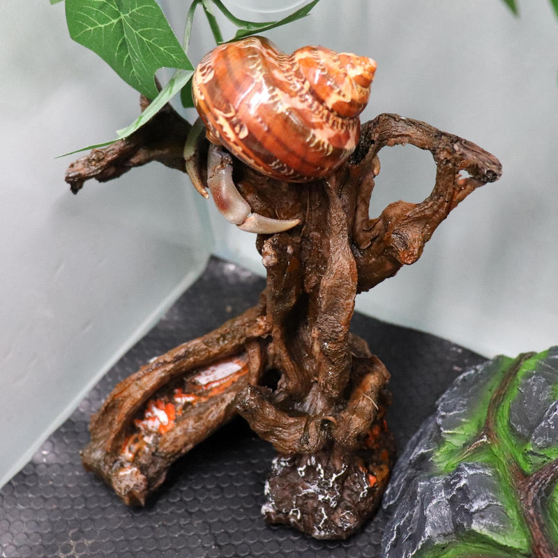 Hermit Crab Climbing Toy, Aquarium Betta Fish Hideout Caves, Resin Tree Trunk Ornament, Tank or Aquarium Decorations, Climbing and Hide Toy for Reptile Lizard Newt Hermit Crab - PawsPlanet Australia