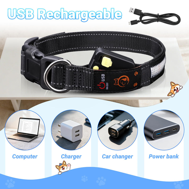 Light Up Dog Collar, USB Rechargeable, Waterproof LED Dog Collar with Remote Control, Adjustable Strap, Suitable for Small, Medium, and Large Dogs (Small) - PawsPlanet Australia