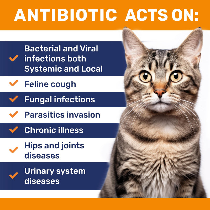 Antibiotics for Cats ◆ Cat Antibiotic ◆ Natural Antibiotics for Cats ◆ Cat Antibiotics ◆ Antibiotic for Cats ◆ Cat Multivitamin ◆ Pet Antibiotic ◆ 2 Oz 2 Fl Oz - PawsPlanet Australia