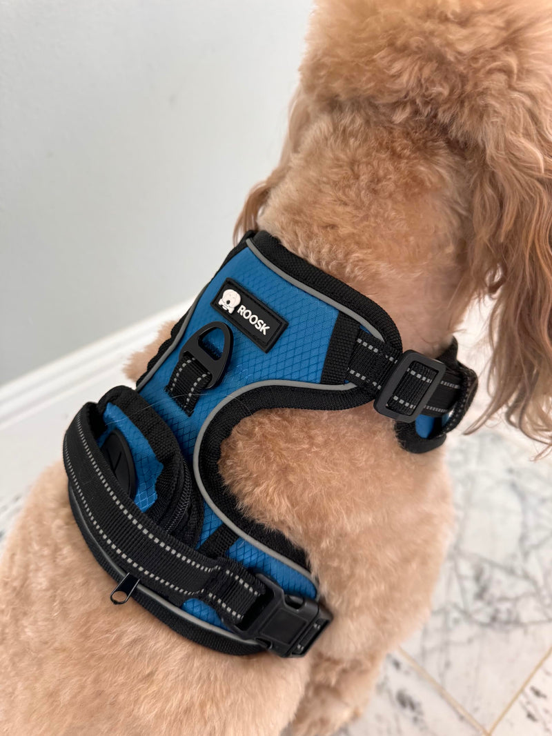 ROOSK Dog Harness | No-Pull, Reflective, 4-Way Adjustable w/Poop Bag Holder | Ultimate Comfort, Soft, Padded Waterproof Oxford w/Airmesh | 2 Leash Clips (Teal Blue, Medium) M Teal Blue - PawsPlanet Australia