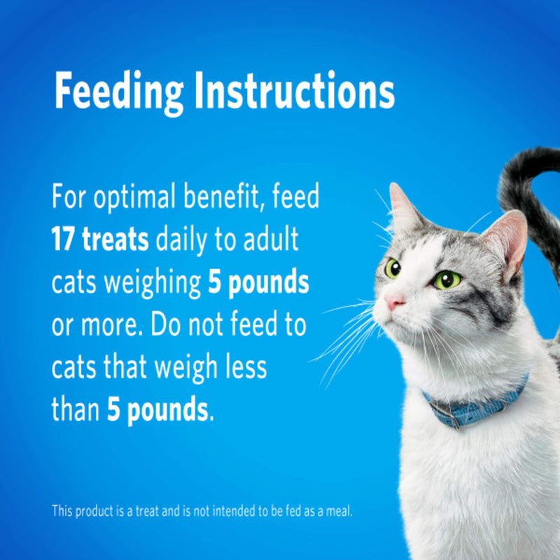 DentaLife Purina Made in USA Facilities Cat Dental Treats, Tasty Chicken Flavor - 19 oz. Canister 1.19 Pound (Pack of 1) - PawsPlanet Australia