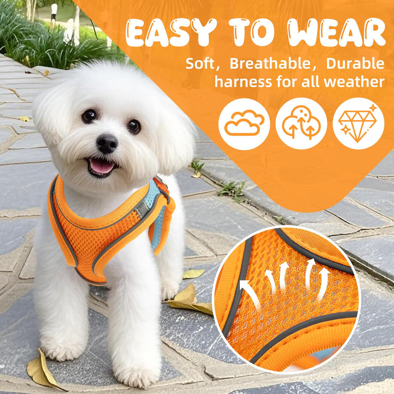 【Escape-Proof Guarantee】 Jieffifa Cat Harness and Leash Set - Adjustable Soft Vest, Reflective Step-in Design for Safe Walking (XXS, Orange/Blue) Orange/bule - PawsPlanet Australia