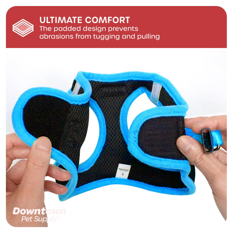 Downtown Pet Supply Step in Dog Harness for Small Dogs No Pull, Medium, Black w/Cobalt Blue Trim - Adjustable Harness with Padded Mesh Fabric and Reflective Trim - Buckle Strap Harness for Dogs Black w/ Cobalt Blue Trim - PawsPlanet Australia